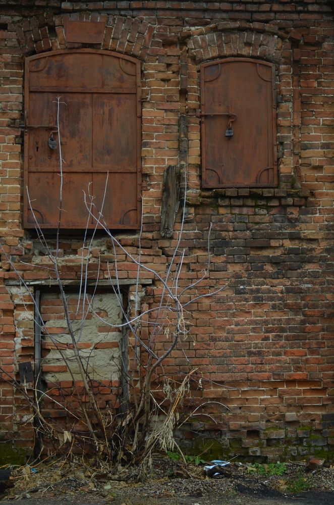 Photograph by Ксения Валерьевна