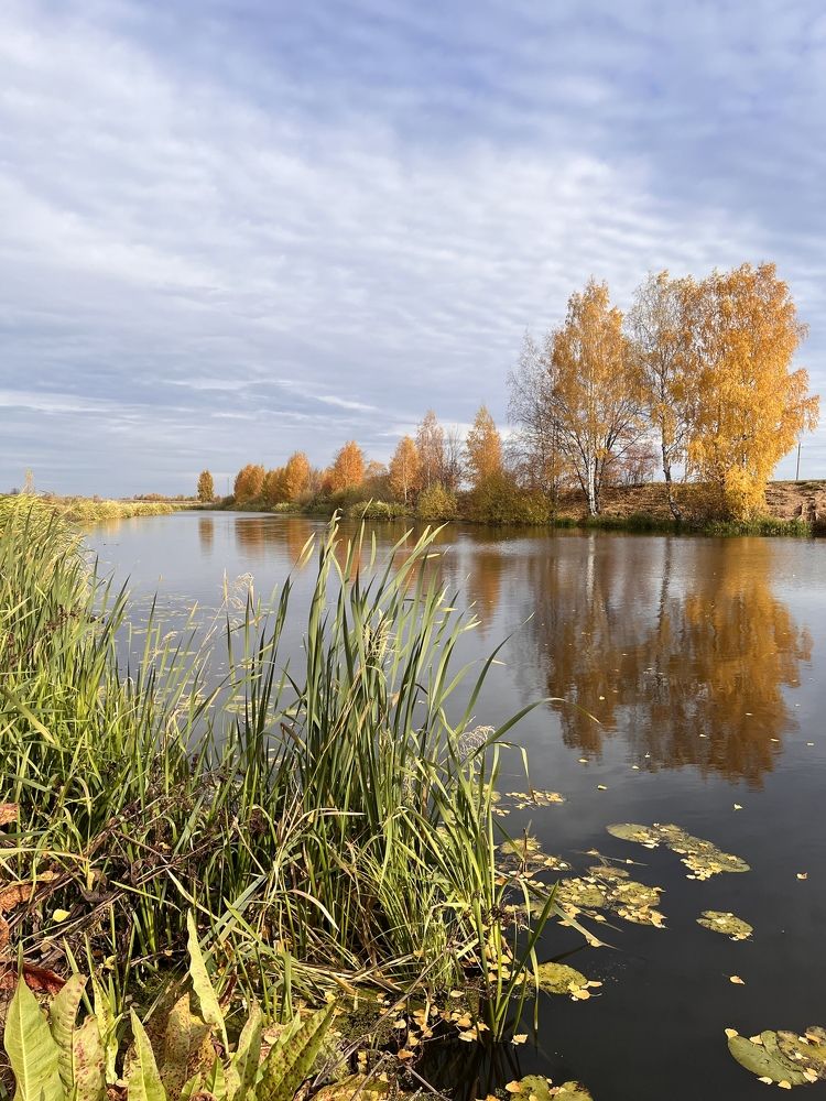 Озеро Святое Костромской области