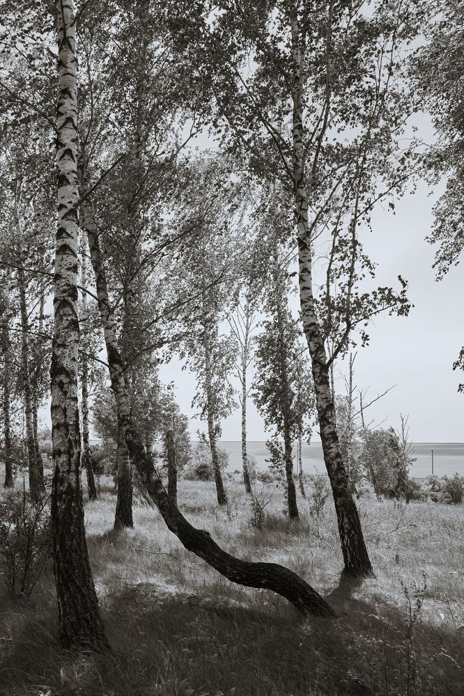 Photograph by Кристина Присакарь