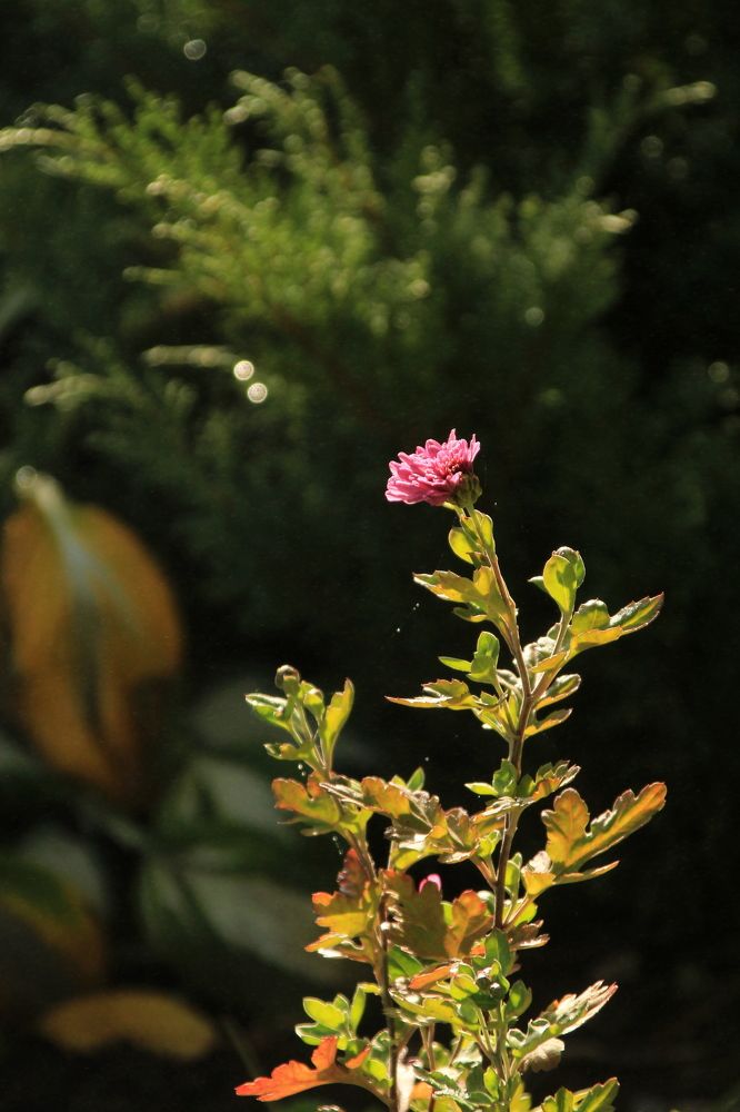 Photograph by Илья Беликов