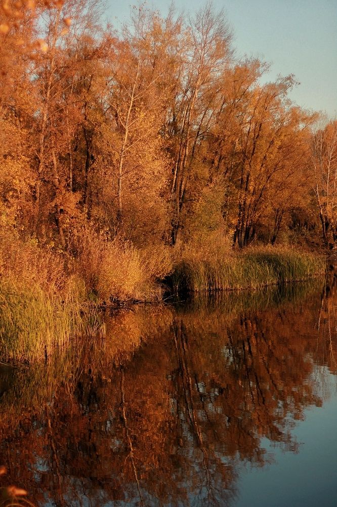 Осень на озере