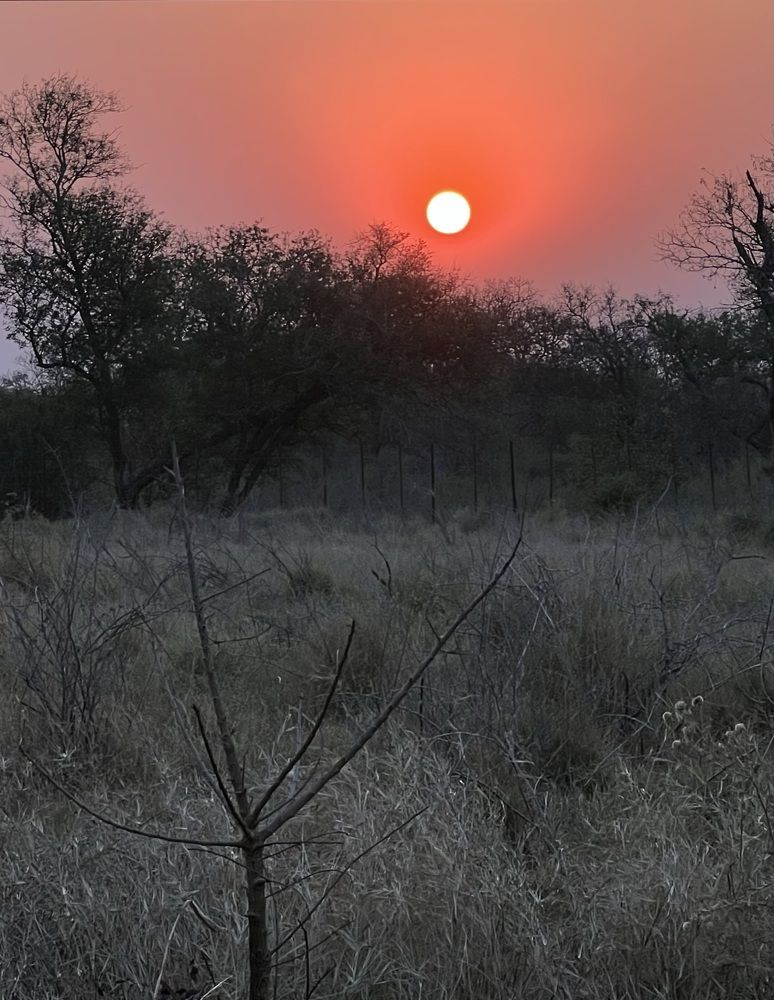 Photograph by Оксана Лабузова