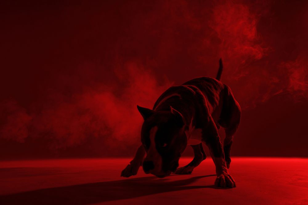 Photograph by Анна Вербилова