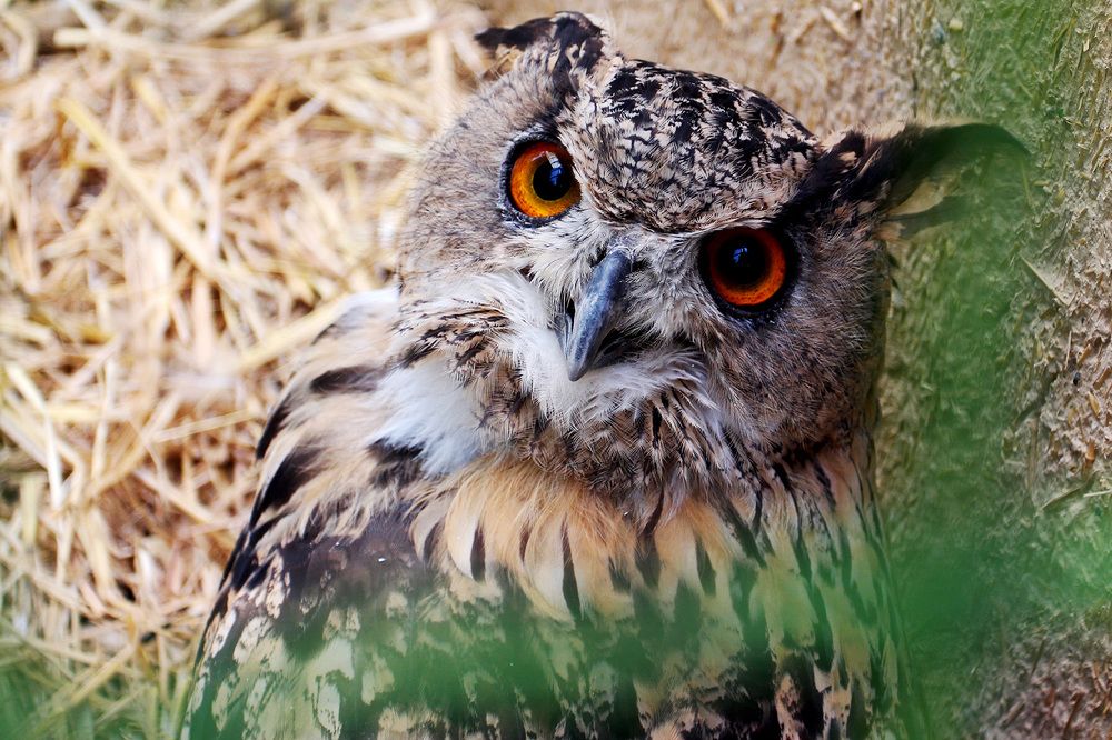 Photograph by mehdi karimi souderjani