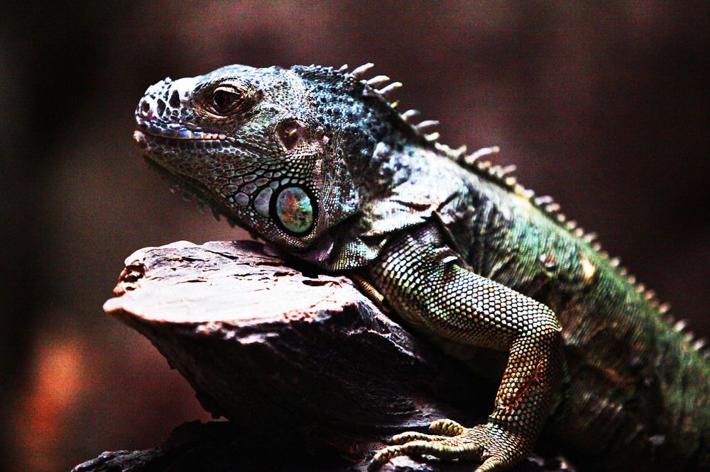 Photograph by mehdi karimi souderjani