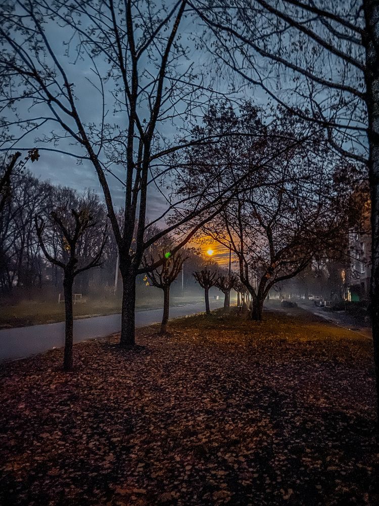 Photograph by Олена Уманцева