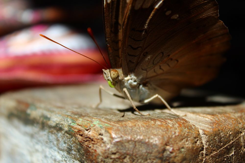 Photograph by deepapatre36@gmail.com