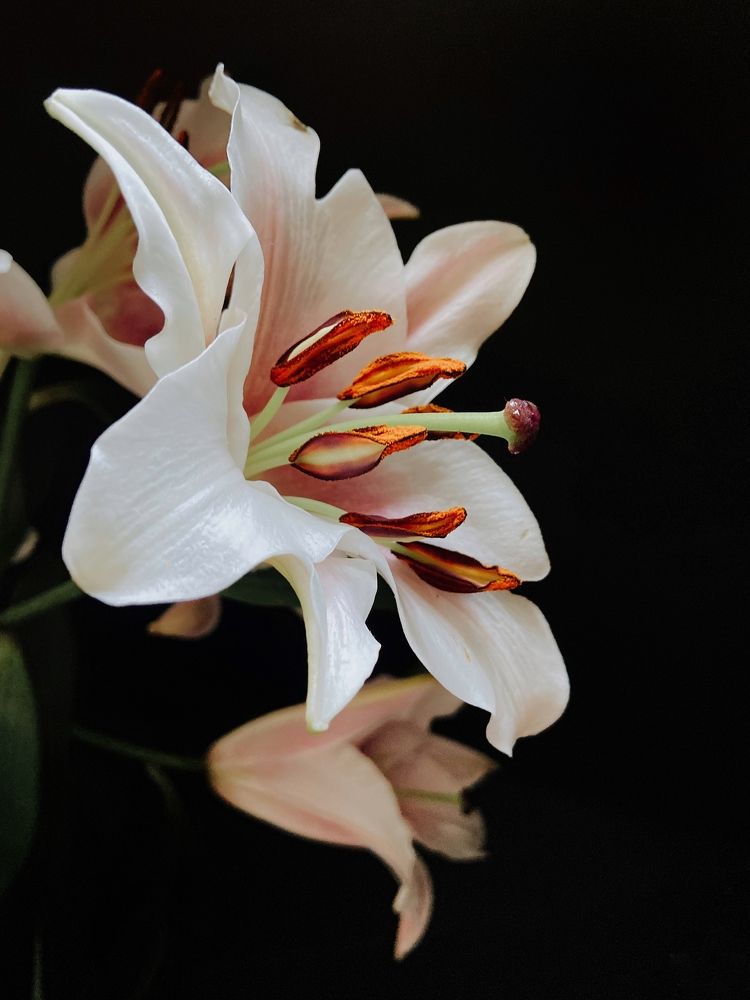 Photograph by Олена Уманцева