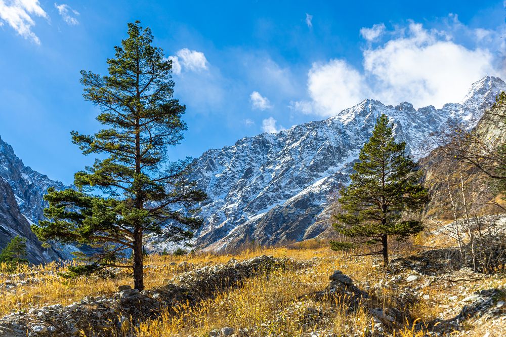 Photograph by Владимир Родин