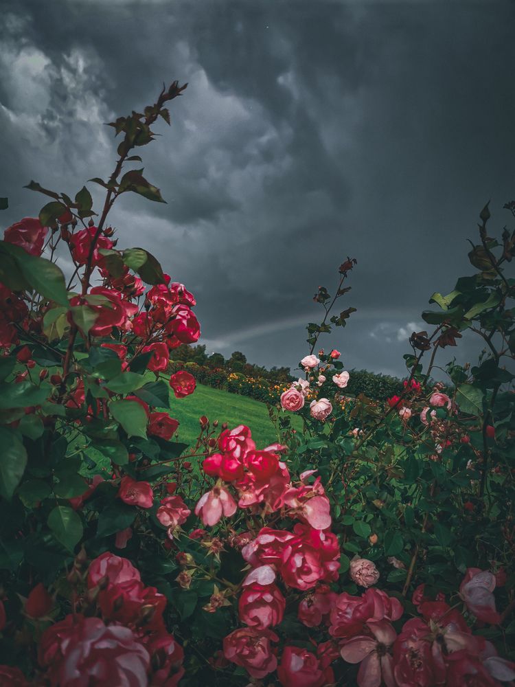 Photograph by Влад Апанасов