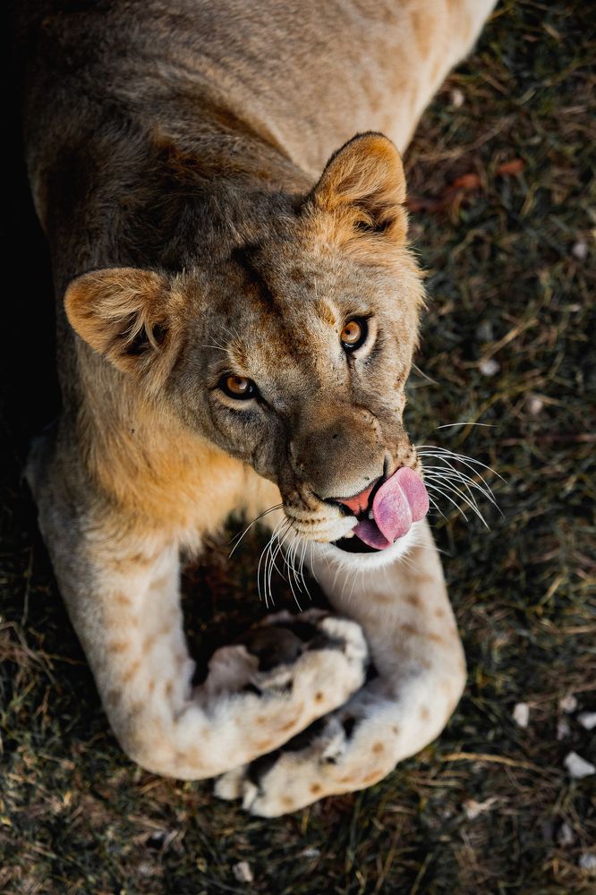 Photograph by Мария Раздорова