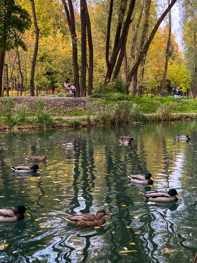 Photograph by Олена Уманцева