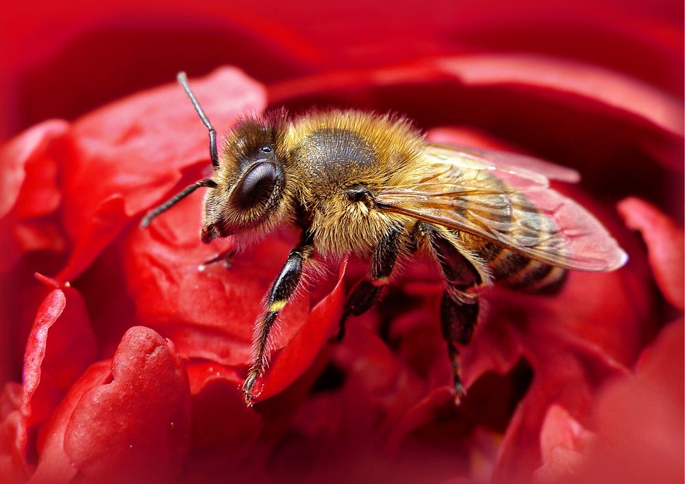 Photograph by Павел Колеснев