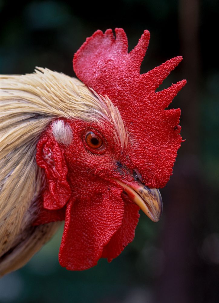 Photograph by Геннадий Литвинов