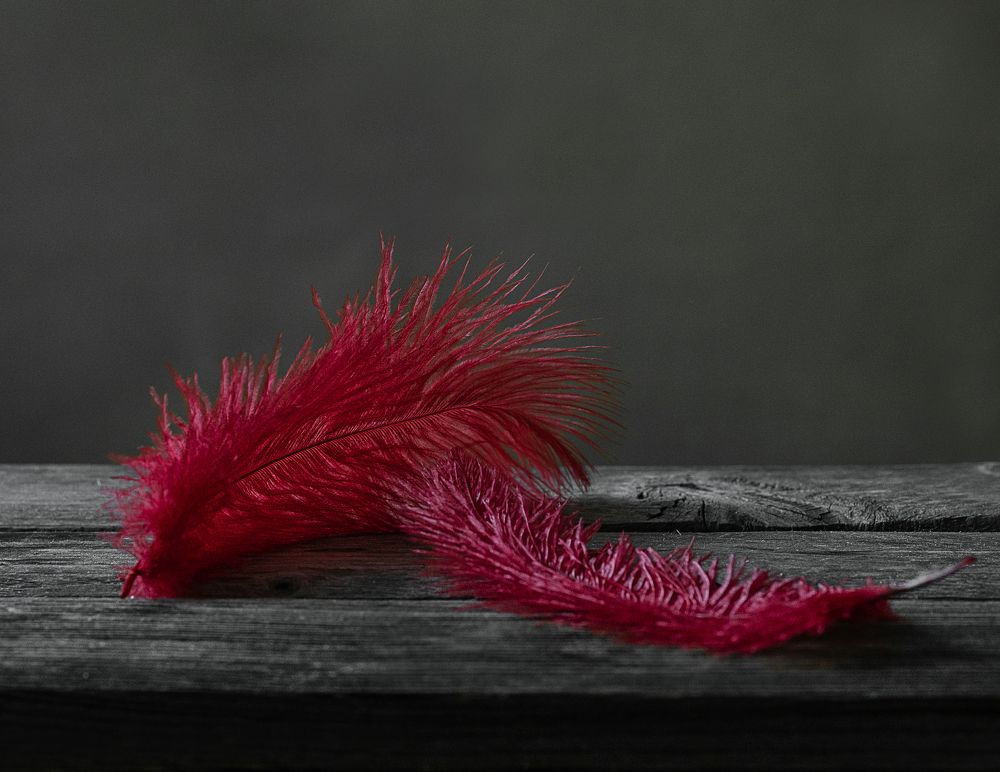 Photograph by Инна Бочарникова