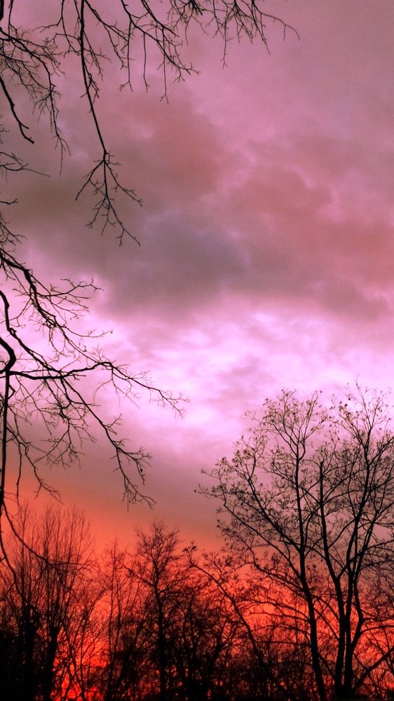 Photograph by Ekaterina Kozlova