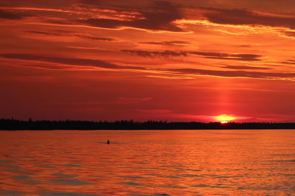 Photograph by Александр Велигура