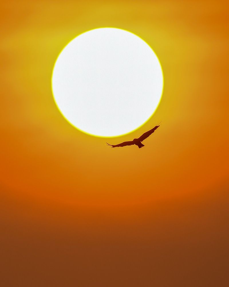 Photograph by Nelsa Jaleel