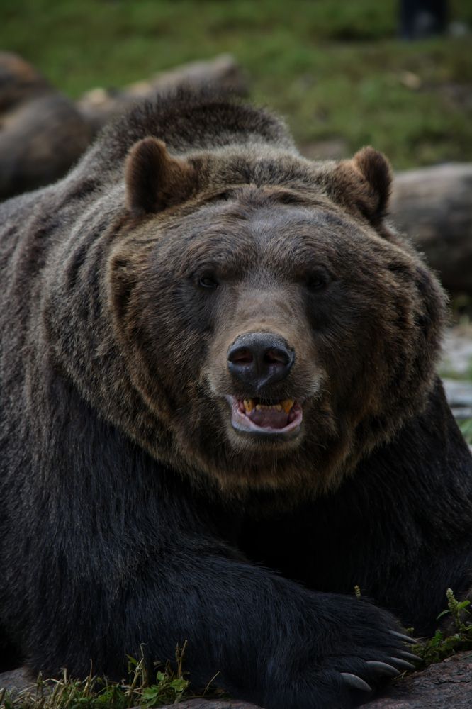 Photograph by Максим Ушенин