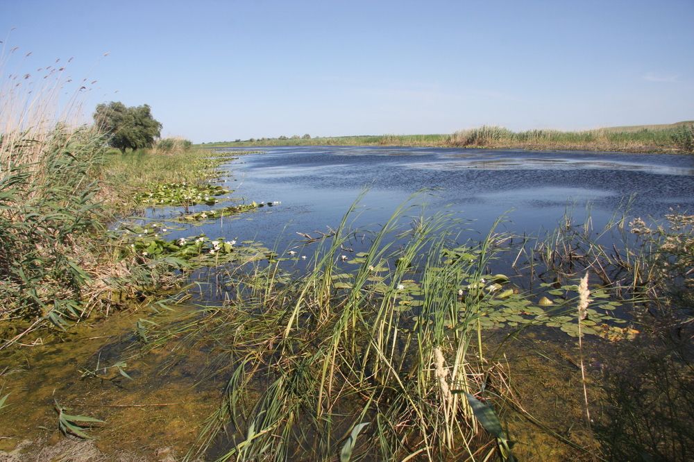 Photograph by Александр Кудрявцев