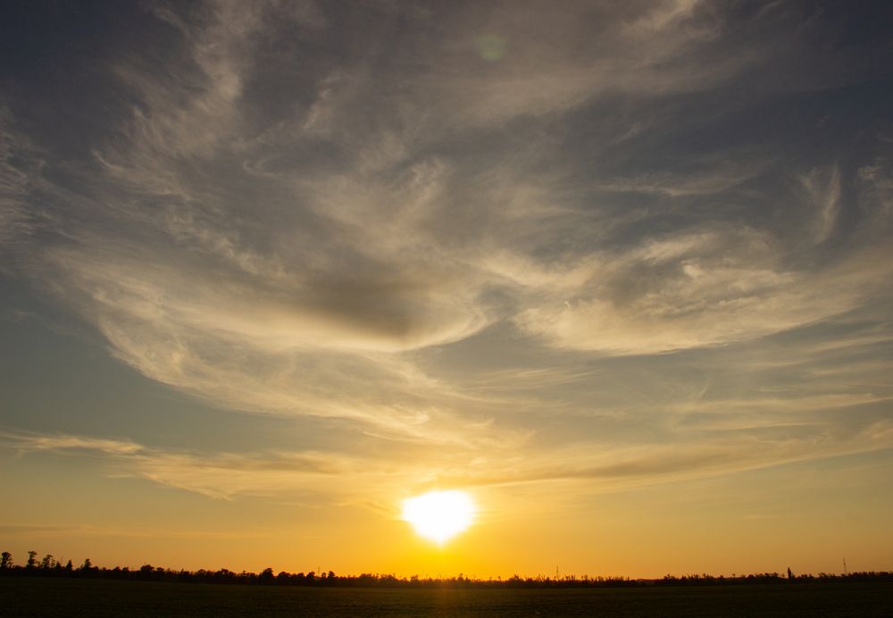 Фотография автора Татьяна Нарайкина
