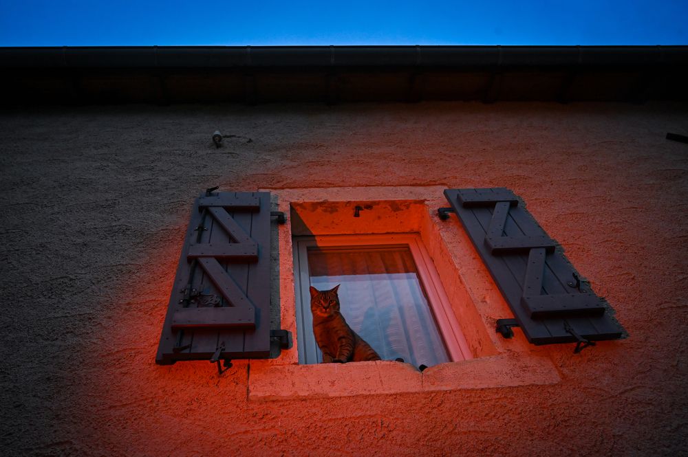 Фотография автора Anna Labelle