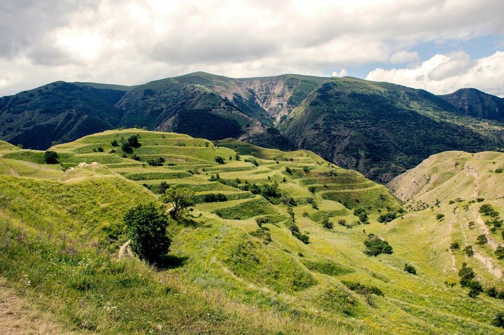 Фотография автора Татьяна Нарайкина