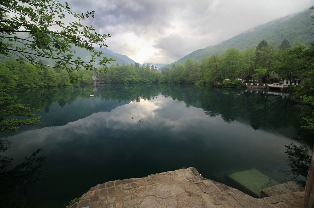 Photograph by 