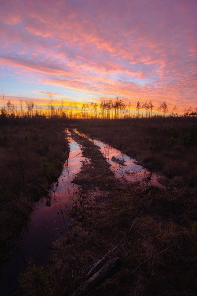 Фотография автора Андрей Врубель