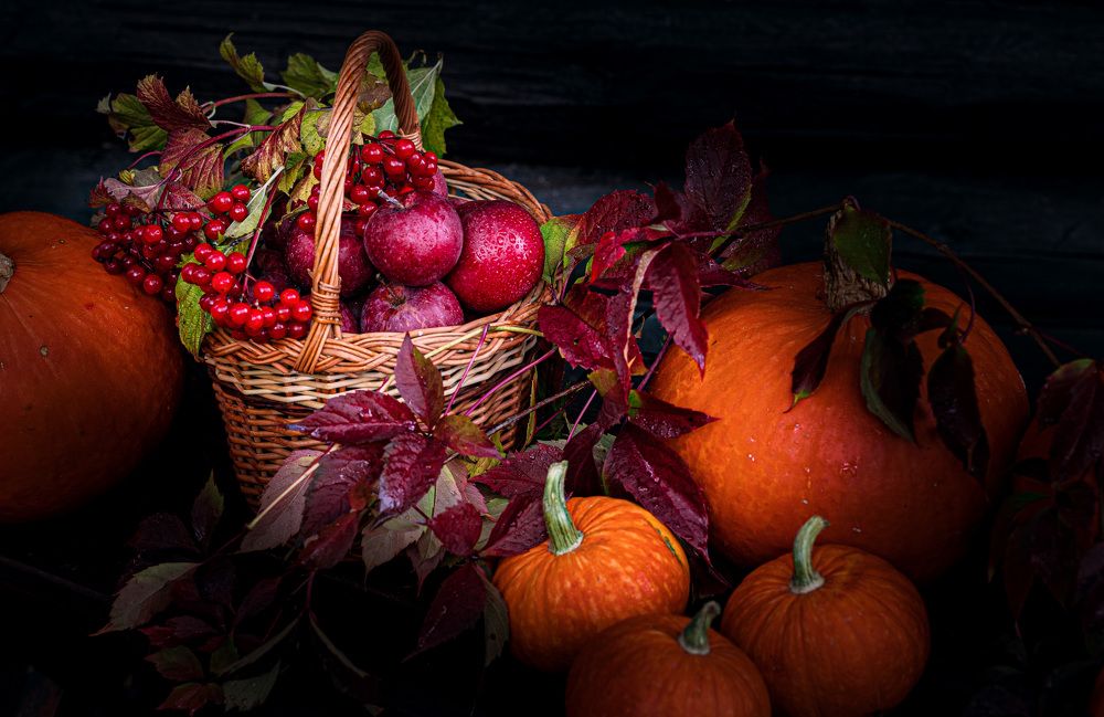 Photograph by Елена Овчинникова