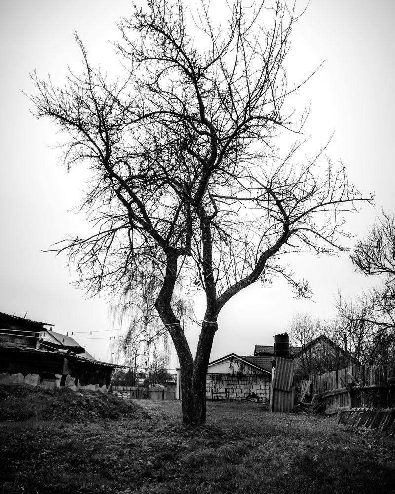 Старый двор