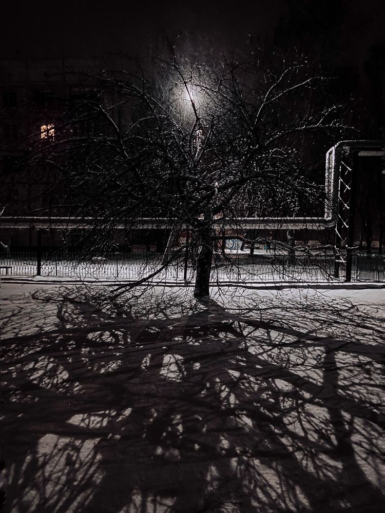 Photograph by Олена Уманцева