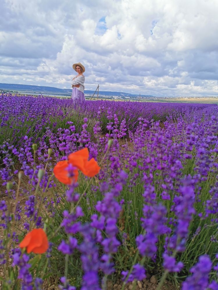 Фотография автора Андрей