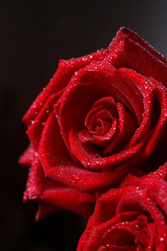 Photograph by Антон Чепуркин