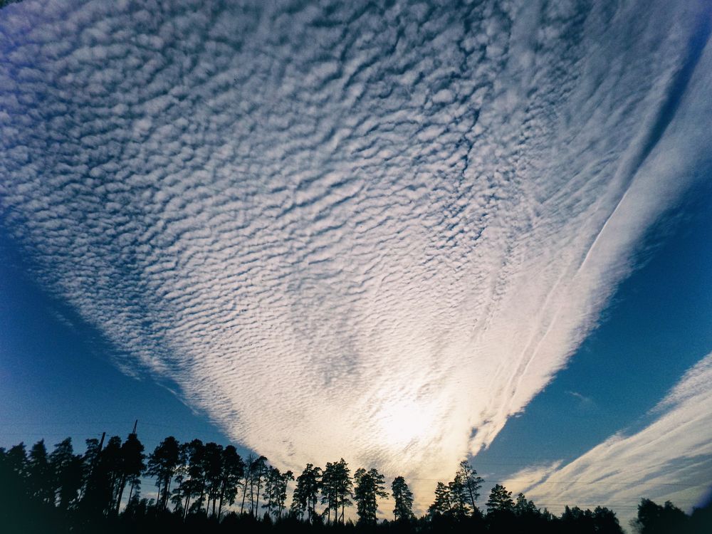 Фотография автора Максим Штормов