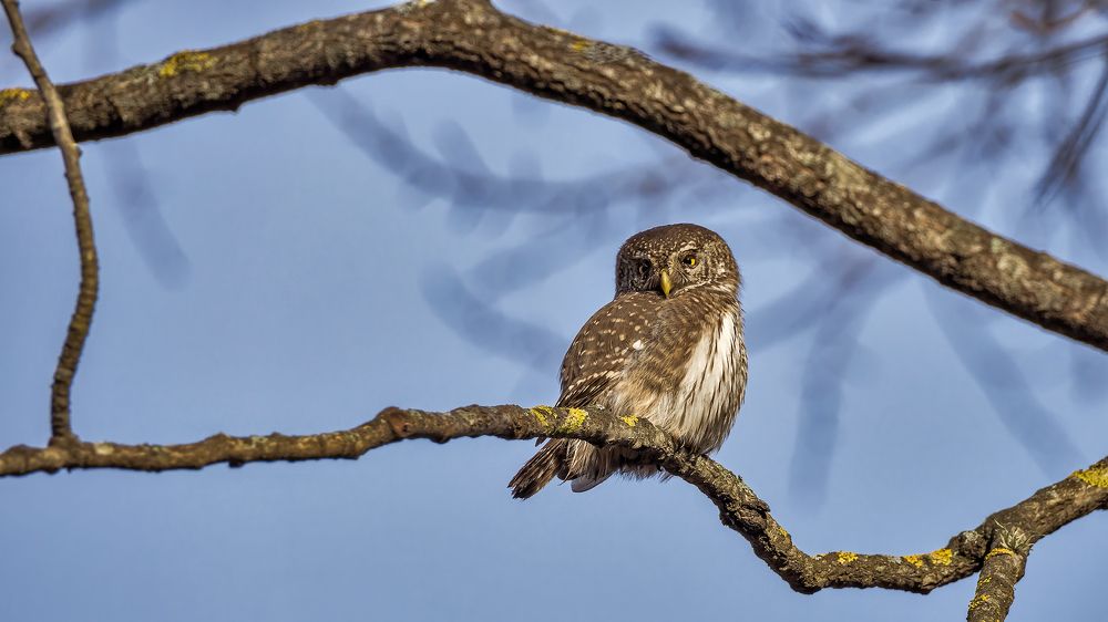 Photograph by Олег Колмаков