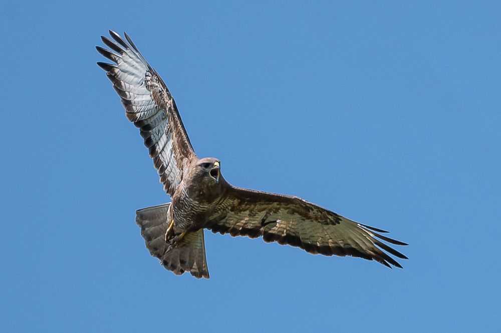 Photograph by Александр Щербаков