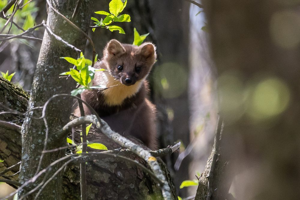 Photograph by Александр Щербаков