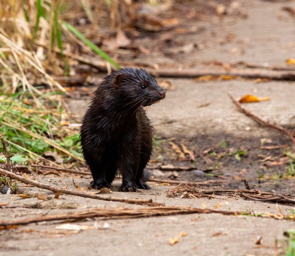 Photograph by Павел Краснослободцев
