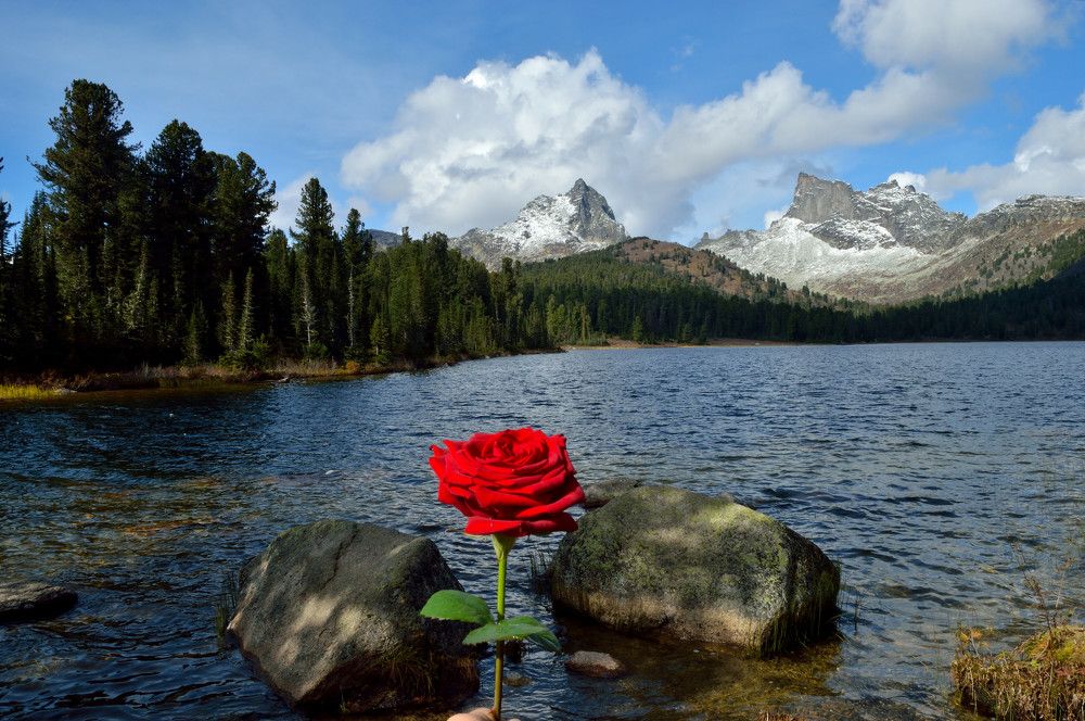 Photograph by Алексей Митрофанов