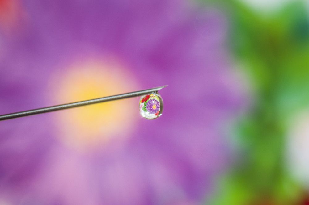 Photograph by Алексей Митрофанов