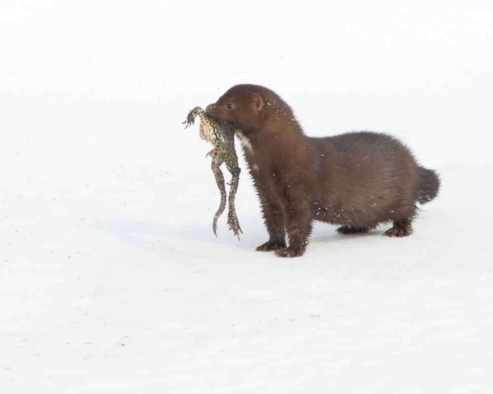 Фотография автора Суслов Дмитрий