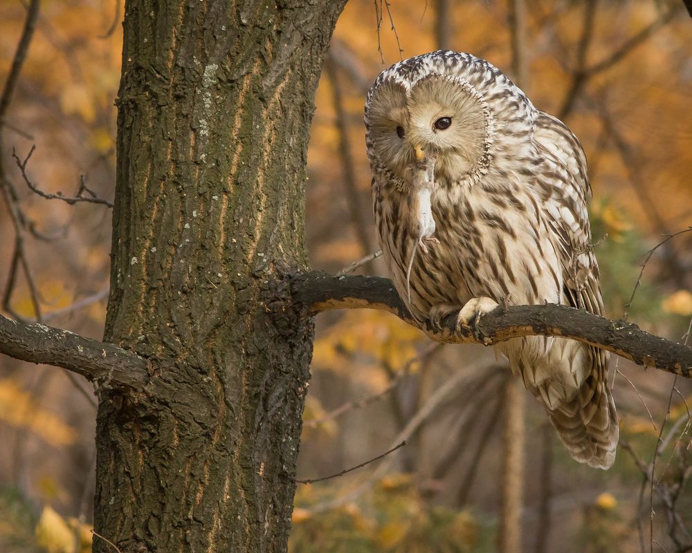 Фотография автора Суслов Дмитрий