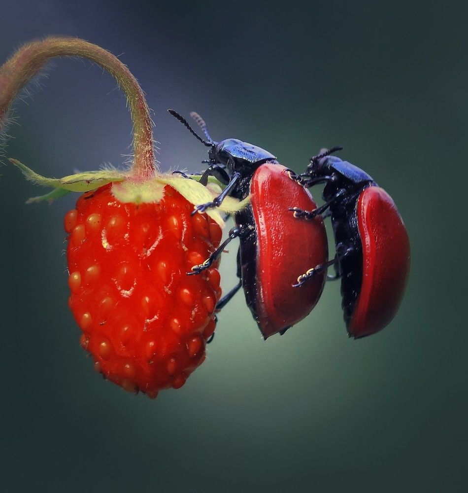 Фотография автора Галина Горькавая