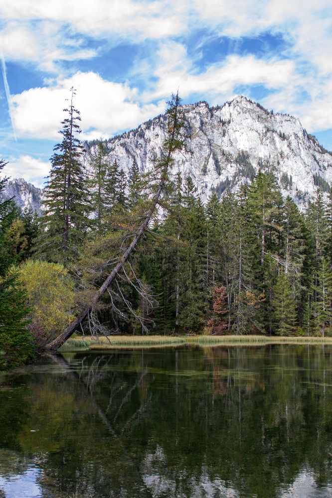 Photograph by Анна Зеленая