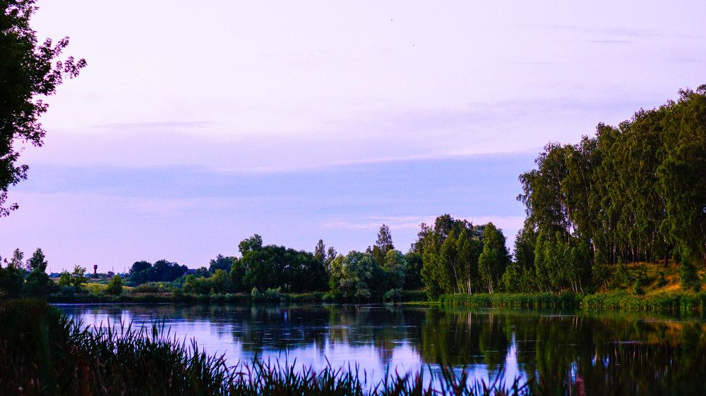 Фотография автора Дмитрий Земсков