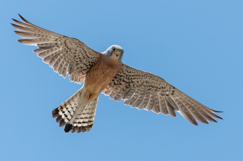 Photograph by Александр Щербаков