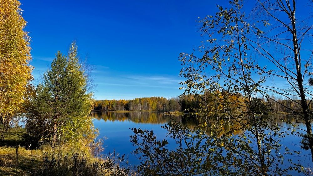 Photograph by Alina Andreevna