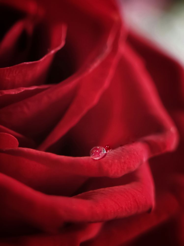 Photograph by Елена Кононенко