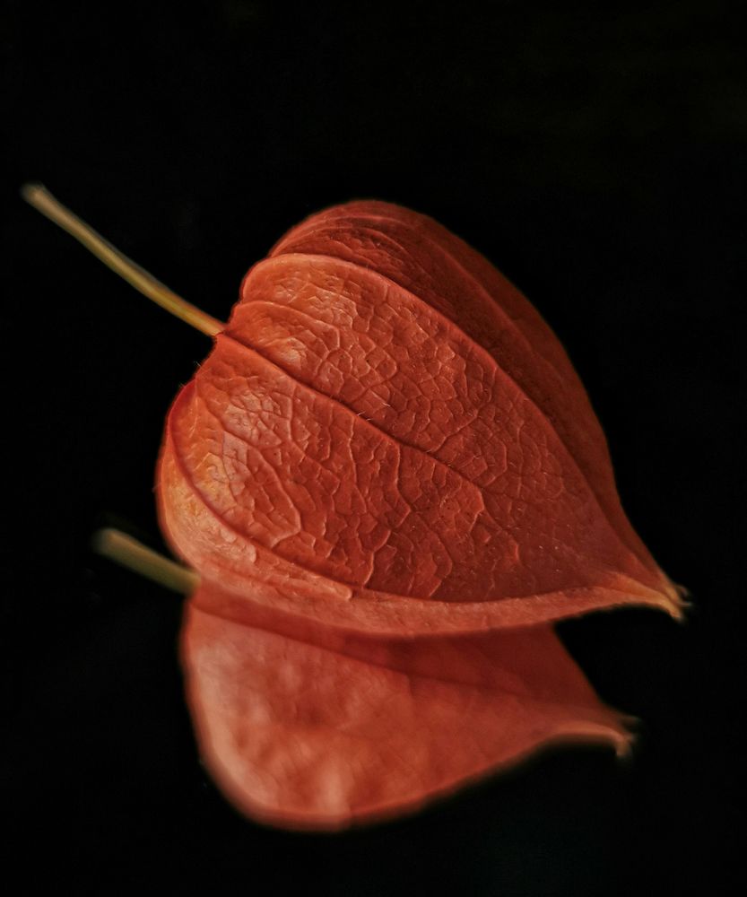 Photograph by Елена Кононенко